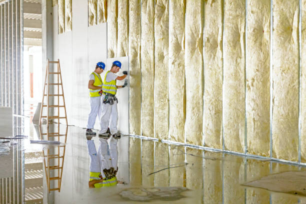 Best Crawl Space Insulation  in Bolivar, MO